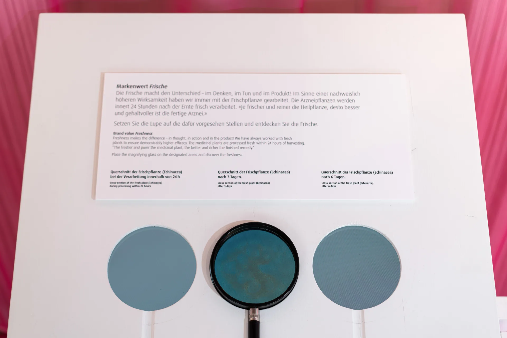 Interaktiver Apparat über Markenwertfrische mit einer Lupe