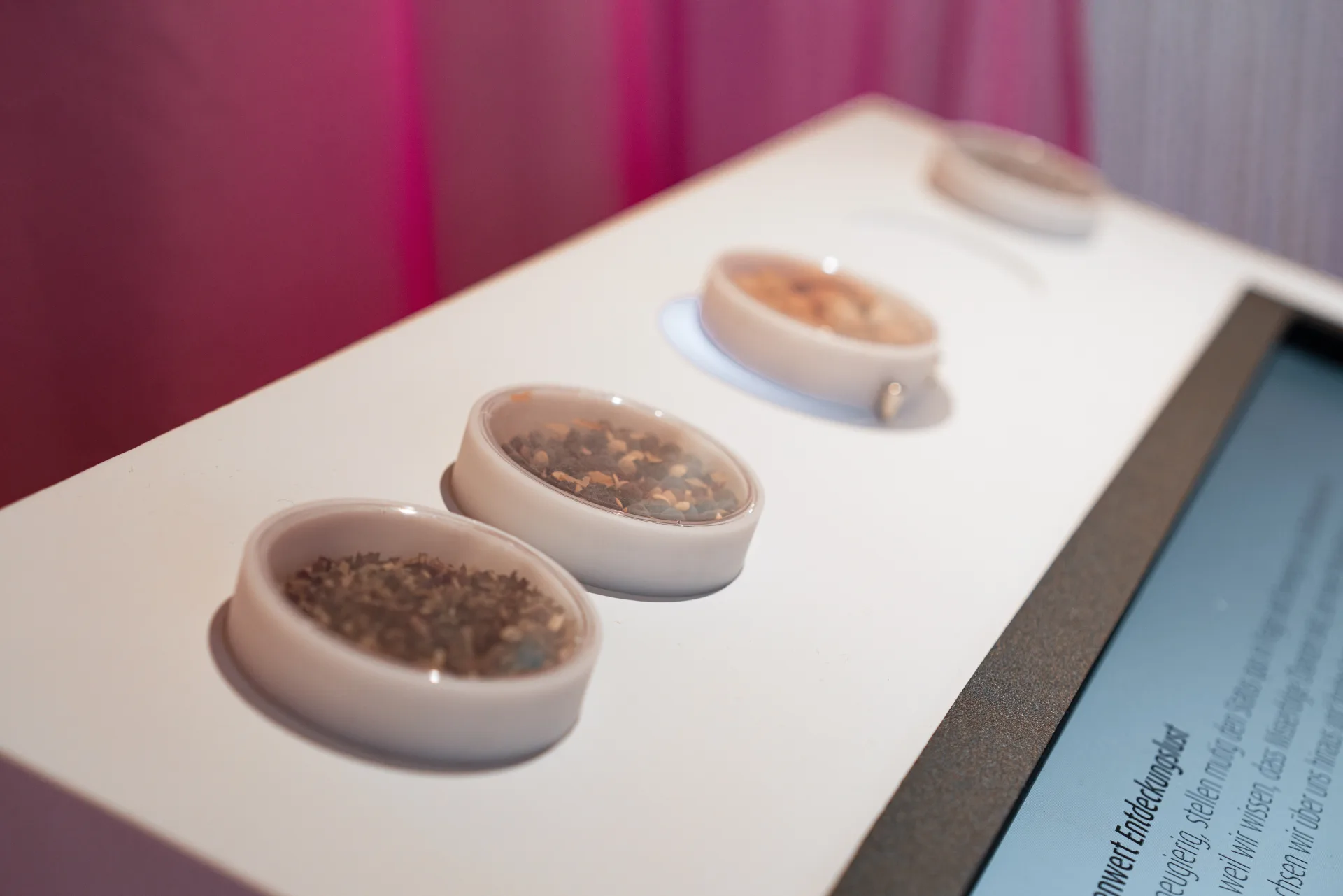 Nahaufnahme von den Samen-Körnern