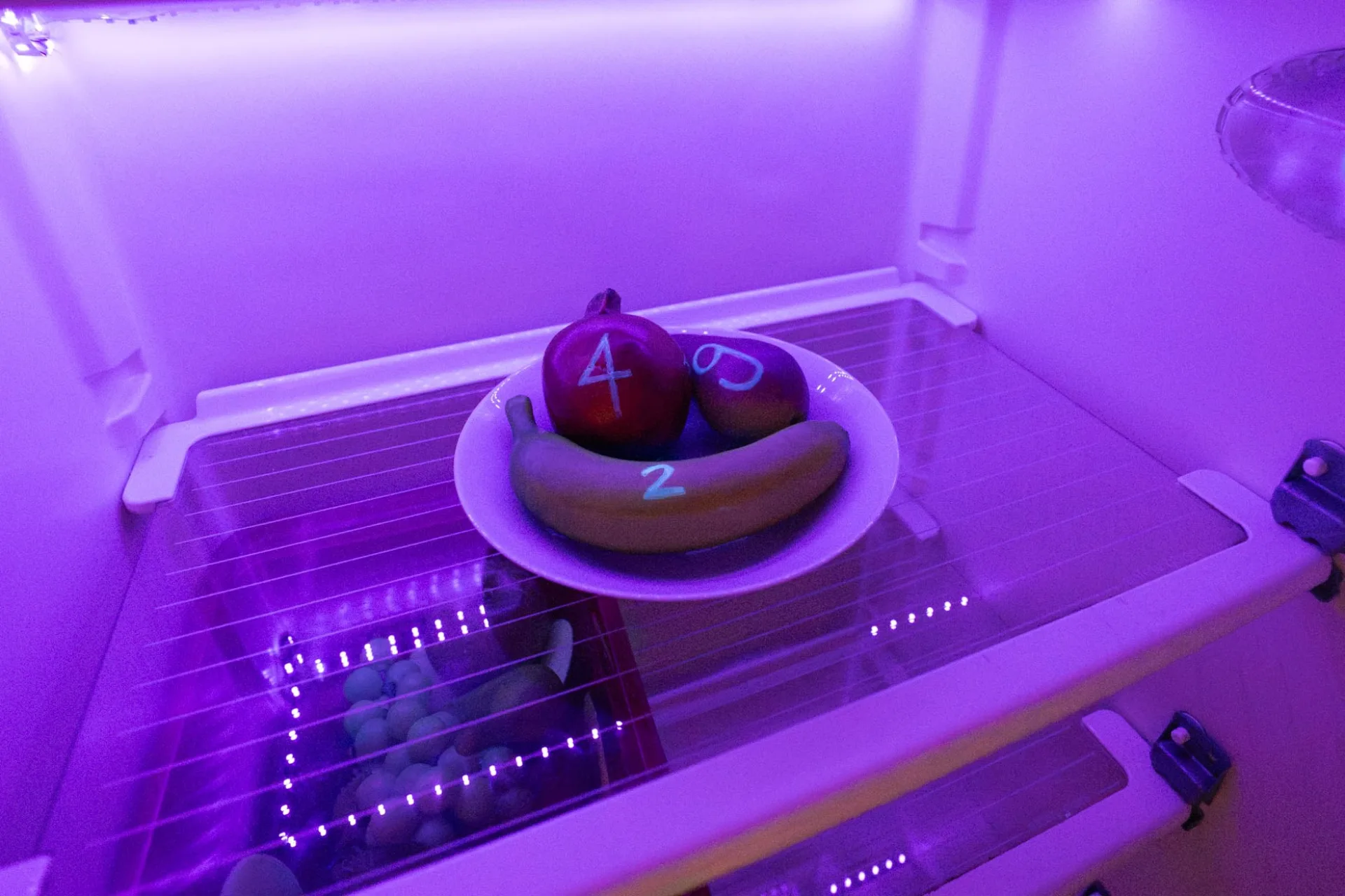 Obst auf einem Teller im Kühlschrank, unter UV-Licht erscheinen aufgemalte Zahlen (4, 9, 2) – der versteckte Code.