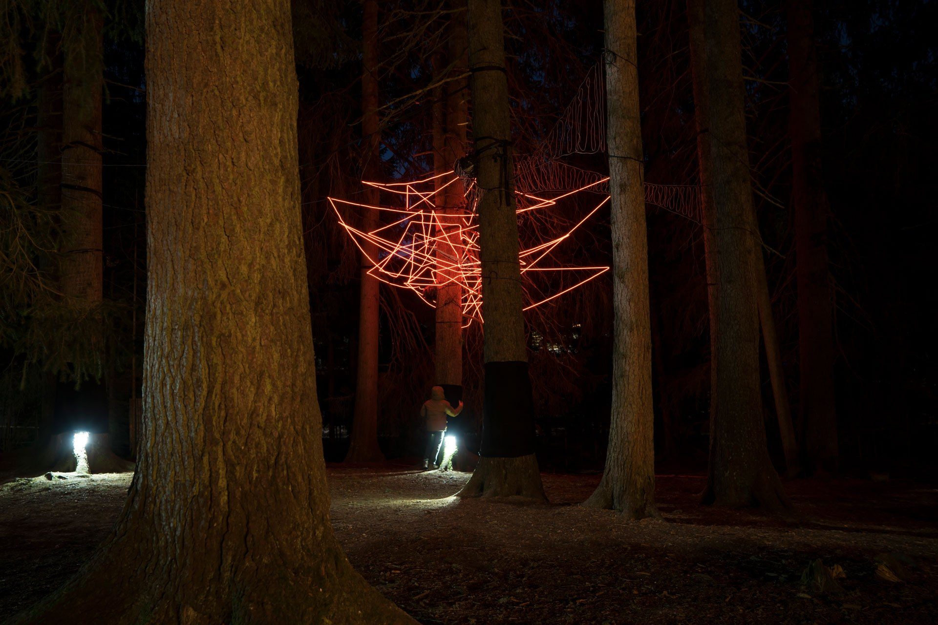 Nächtlicher Wald erleuchtet durch die Installation «Baumraunen»