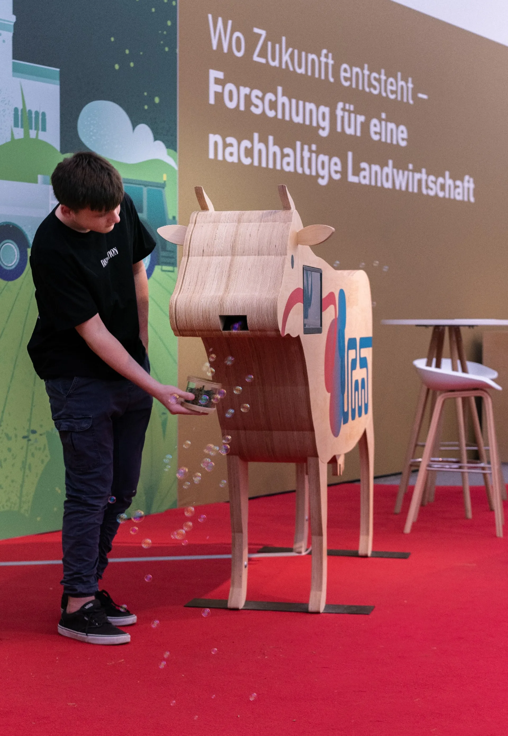 Die Kuh rülpst Seifenblasen nach dem Essen.